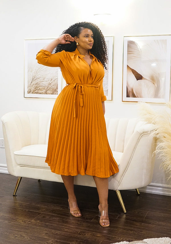 Elegant Long Sleeve Pleated Dress